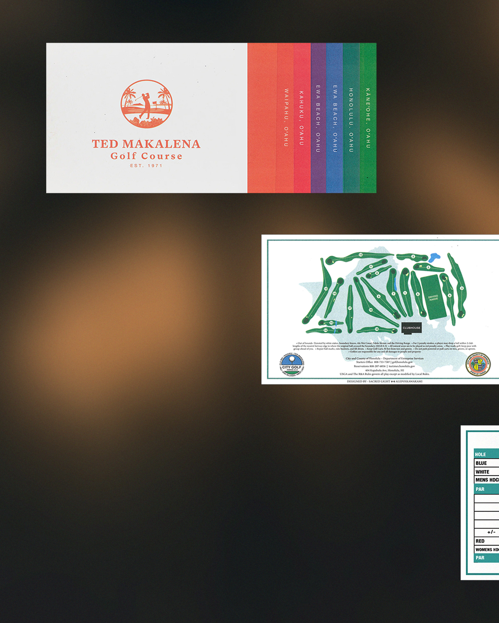 Honolulu City & County Rebrand — slide 3 of 7